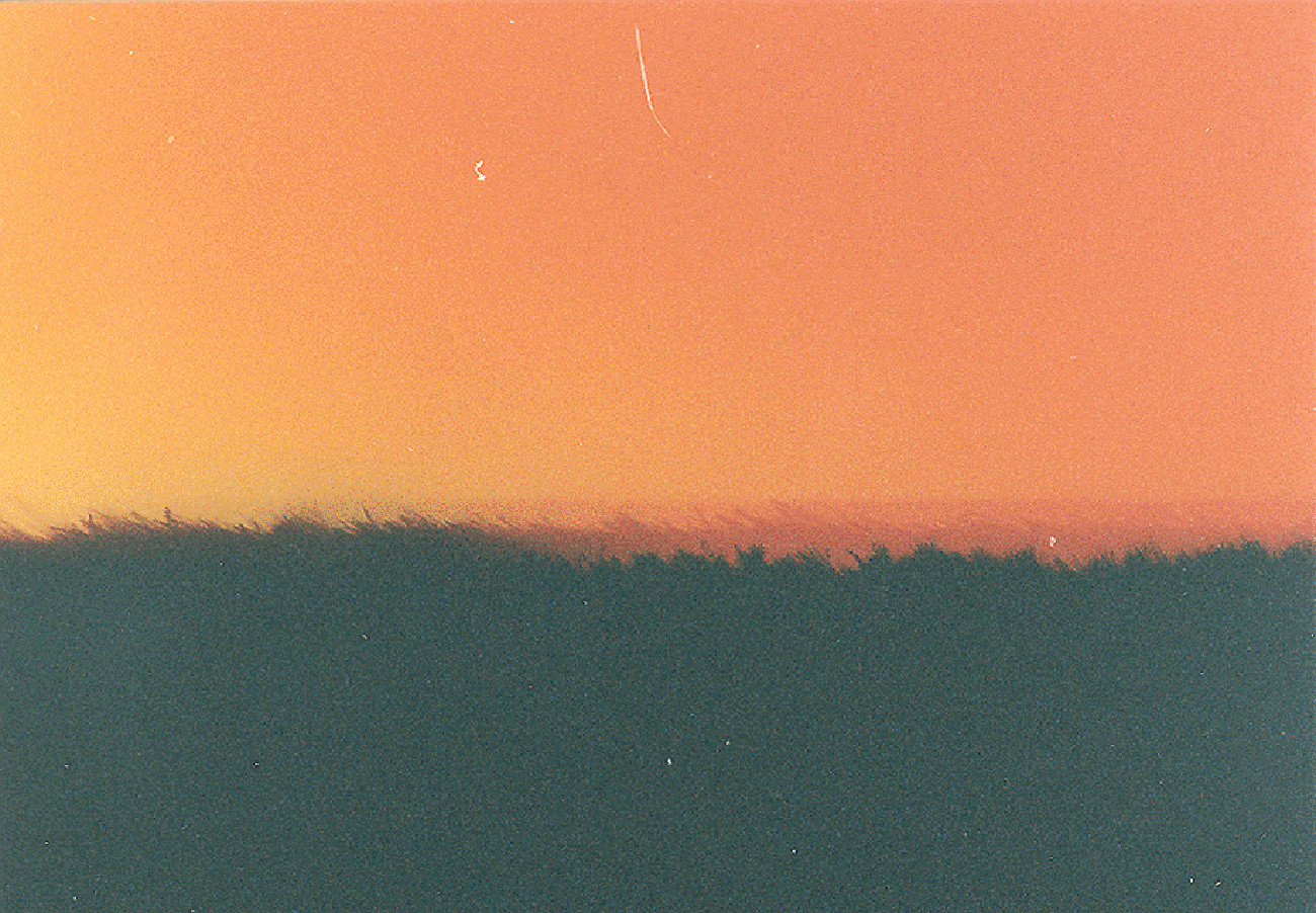 This is the photograph of a landscape visited in a dream