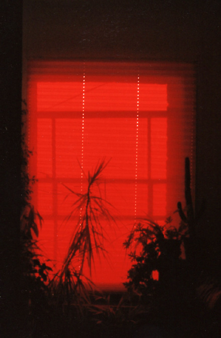sunlight through the blind at 52 Portland Road