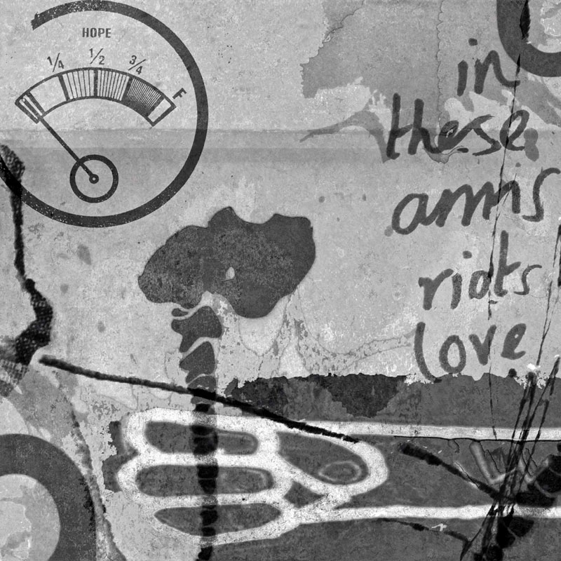 in these arms riots love